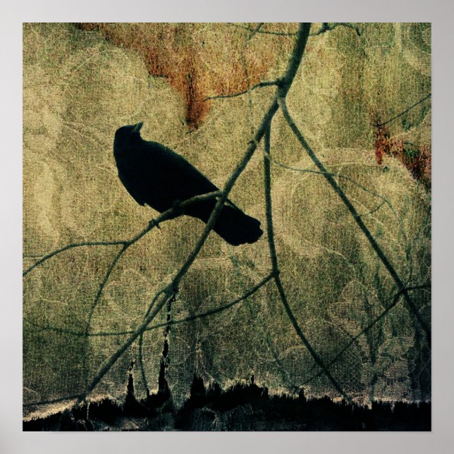 Poster Extrait (Devant)