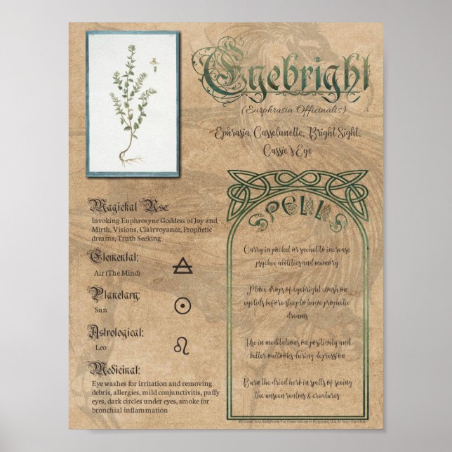 Poster Eyebright livre de plantes ombres Pagan Wiccan (Devant)