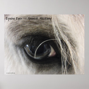 Poster Eyes Equine — Mustang espagnol