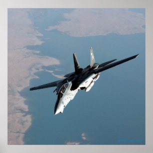 Poster F14 des Jolly Rodgers