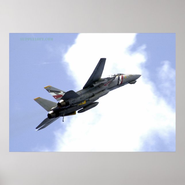 Poster F14 Monte vers Skyward (Devant)