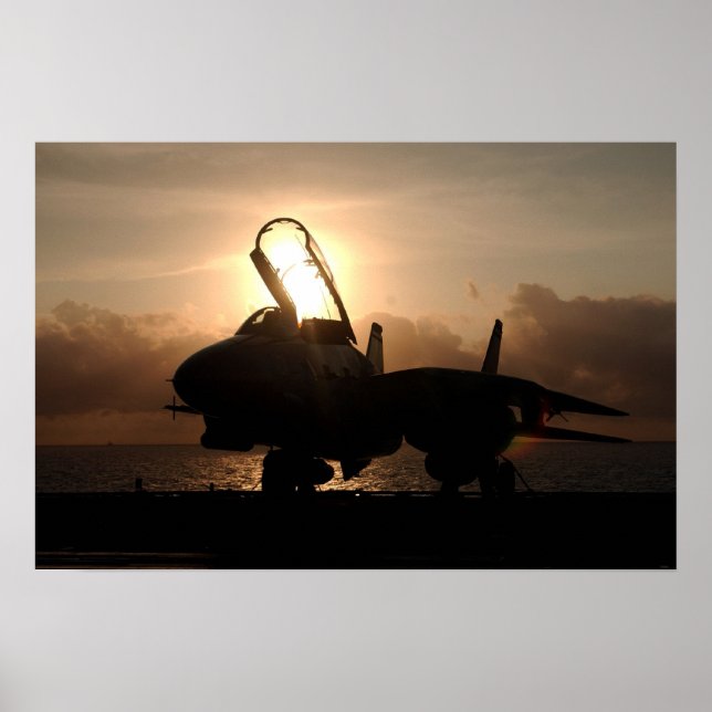 Poster F-14 Tomcat (Devant)