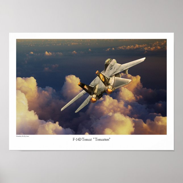 Poster F-14 Tomcat (Devant)
