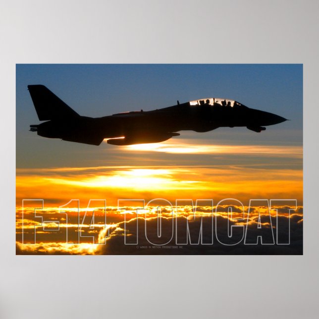 POSTER F-14 TOMCAT (Devant)