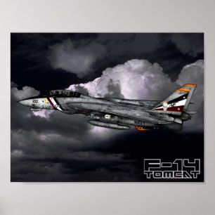 Poster F-14 Tomcat