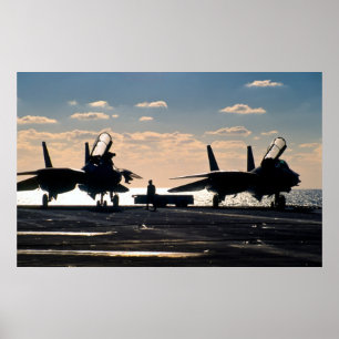 Poster F-14 Tomcat
