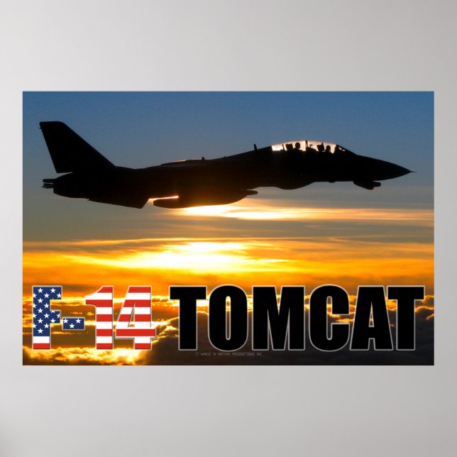 POSTER F-14 TOMCAT (Devant)