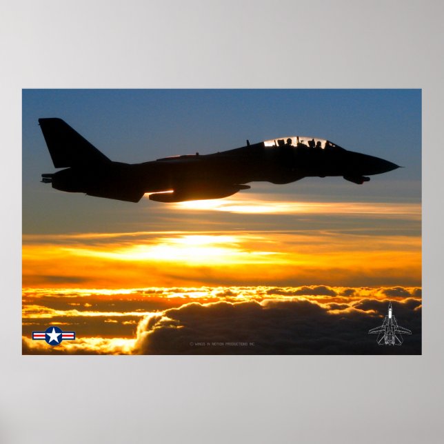 POSTER F-14 TOMCAT (Devant)