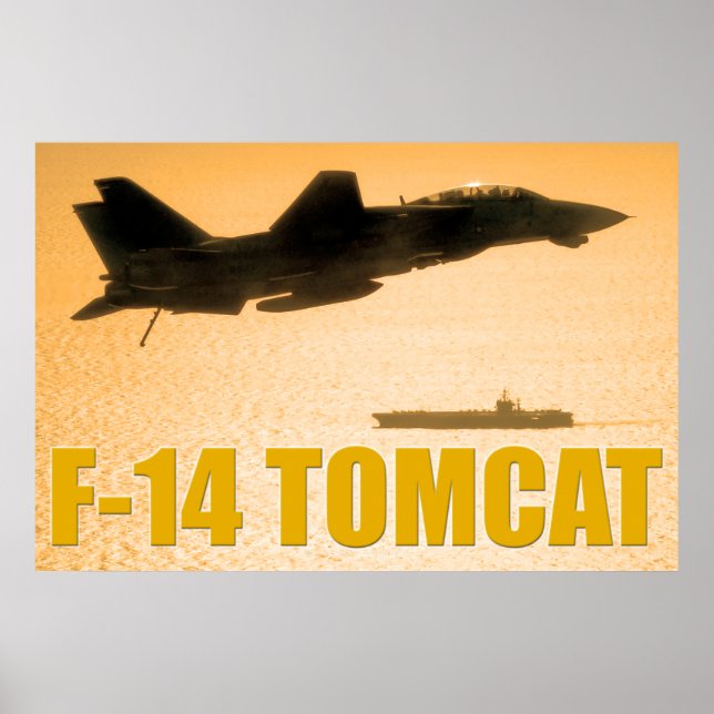 POSTER F-14 TOMCAT (Devant)