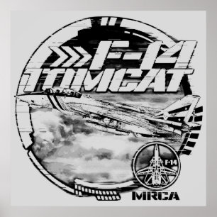 Poster F-14 Tomcat