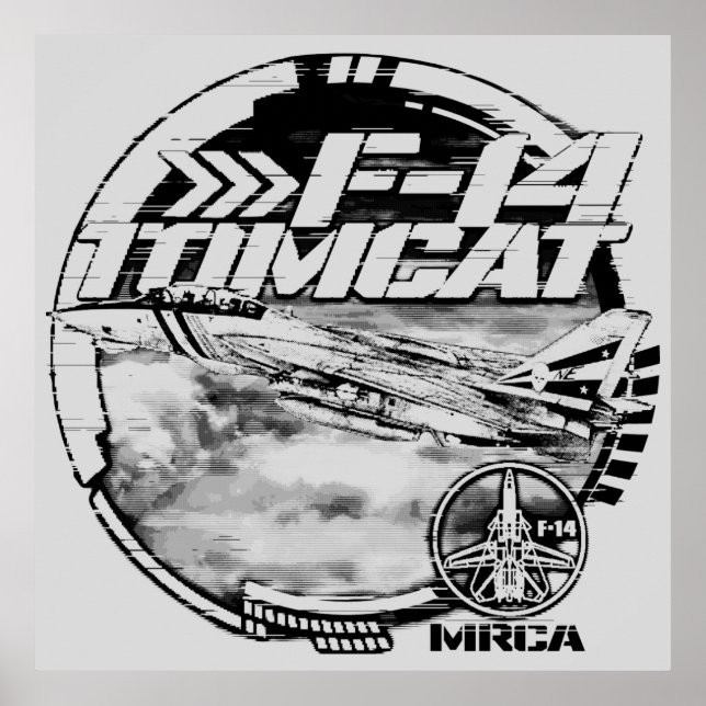 Poster F-14 Tomcat (Devant)