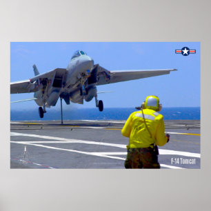 POSTER F-14 TOMCAT "HOOK DOWN"
