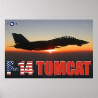 POSTER F-14 TOMCAT "PATROUILLE DE SOLEIL"