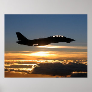 Poster F-14D Tomcat