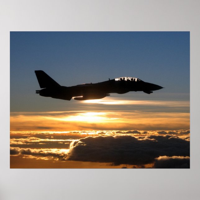 Poster F-14D Tomcat (Devant)