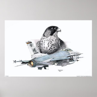 Poster F-16 Faucon et Faucon