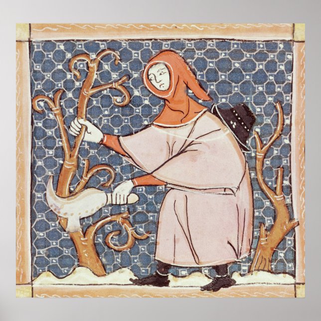 Poster F.58v Mars : Arbres à couteaux (Devant)