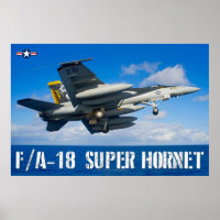 F/A-18E SUPER HORNET