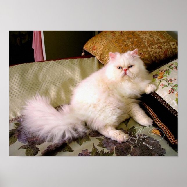 Poster faaaabuuuloussss ! ! ! ! ! (Devant)