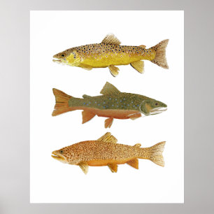 Poster Fabrication d'un tigre