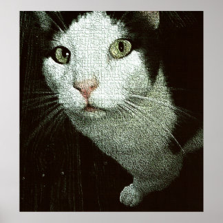 Poster Face à toi Bob