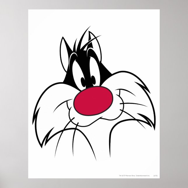 Poster Face de nez rouge SYLVESTER™ (Devant)