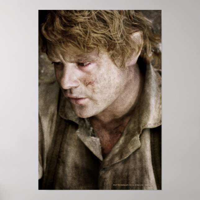 Poster Face latérale Samwise (Devant)