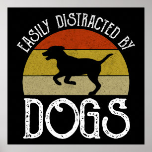 Poster Facilement Distrait Par Les Chiens