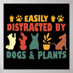 Poster Facilement Distrait Par Les Chiens Et Les Plantes