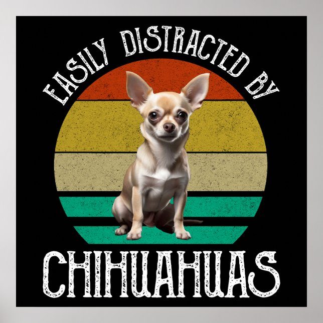 Poster Facilement Distrait Par Les Chihuahuas (Devant)