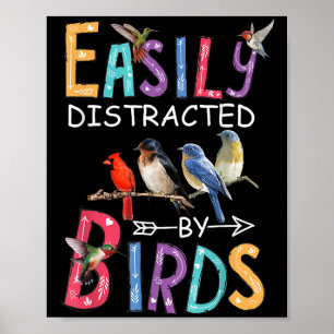 Poster Facilement Distrait Par Les Oiseaux Drôle Oiseau