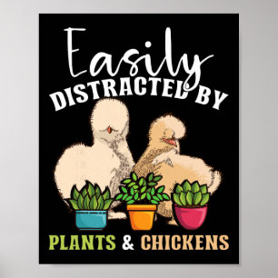 Poster Facilement Distrait Par Les Plantes Et Les Poules