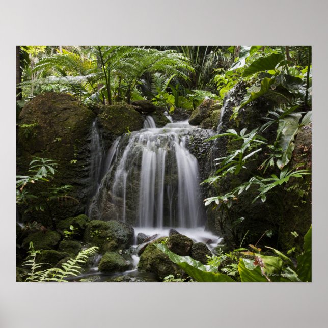 Poster Fairchild Tropical Botanic Garden est un jardin bo (Devant)