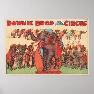 Poster Faire Des Éléphants Avec Des Femmes Et Des Formate