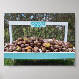 Poster Faire des noix de coco