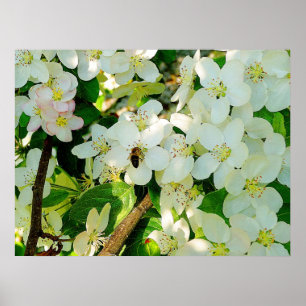 Poster Faire du miel