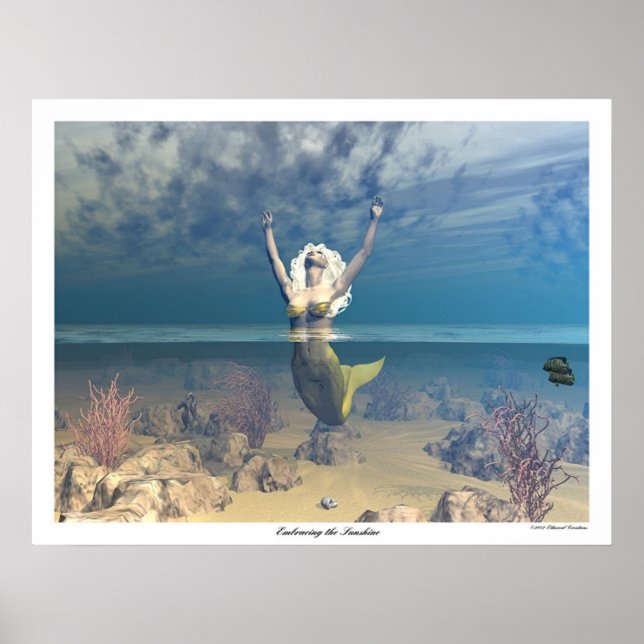 Poster Faire place au soleil (Devant)