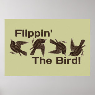 Poster Faire tomber l'oiseau