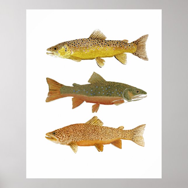 Poster Faire un tigre (Devant)