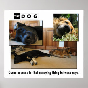 Poster Faire une sieste