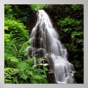 Poster Fairy Falls