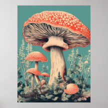 Fairy Tale Fungi
