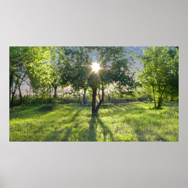 Poster Faisceau (Devant)