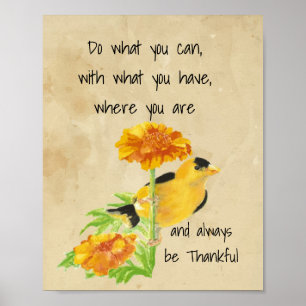 Poster Faites ce que vous pouvez, avec ce que vous avez C