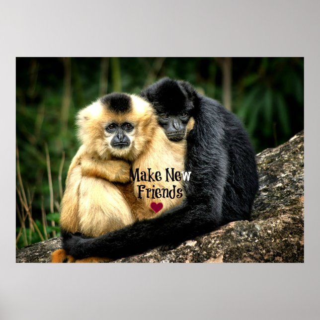 Poster "Faites de nouveaux amis" (Devant)