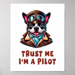 Poster Faites-moi confiance, je suis pilote