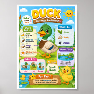Poster Faits Amusants Sur Le Canard Pour Les Enfants