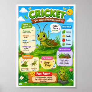 Poster Faits amusants sur le cricket pour les enfants