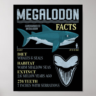 Poster Faits sur le Mégalodon Dent de Requin Préhistoriqu
