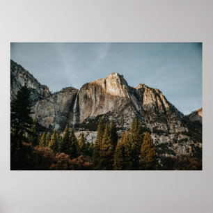 Poster FALAISE Brown PRÈS DES ARBRES SOUS LE CIEL BLEU